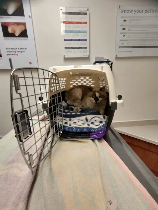 Banfield Pet Hospital 1