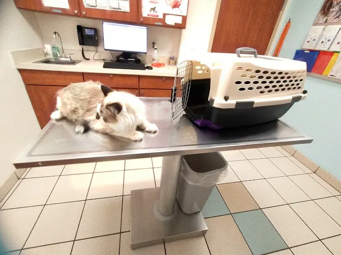 Banfield Pet Hospital 6