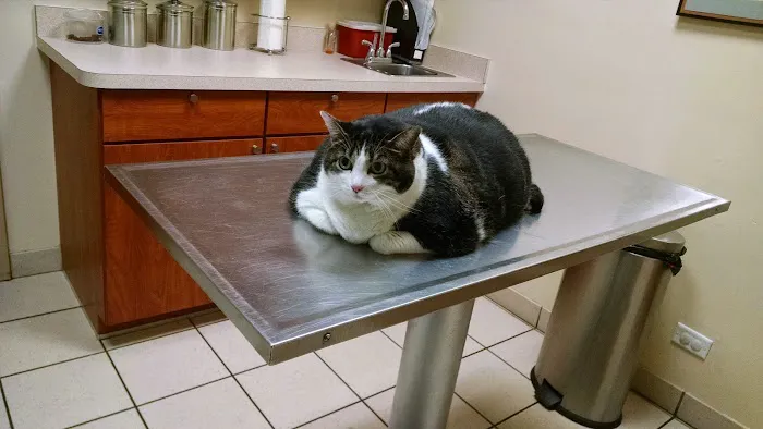 Banfield Pet Hospital 9
