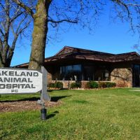 Lakeland Animal Hospital ico