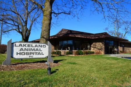 Lakeland Animal Hospital