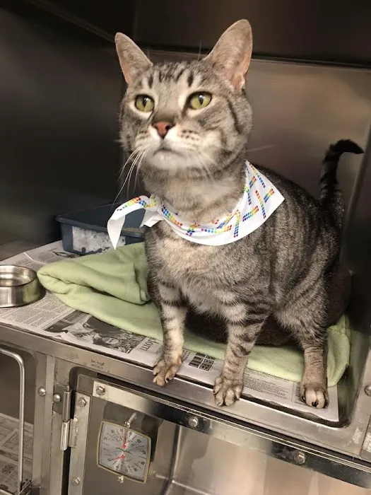 Lakeland Animal Hospital 12