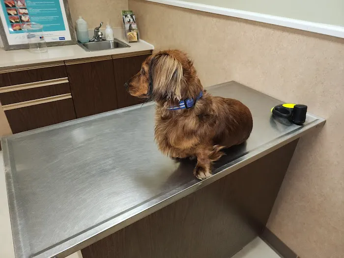 Lake Geneva Veterinary Clinic 12