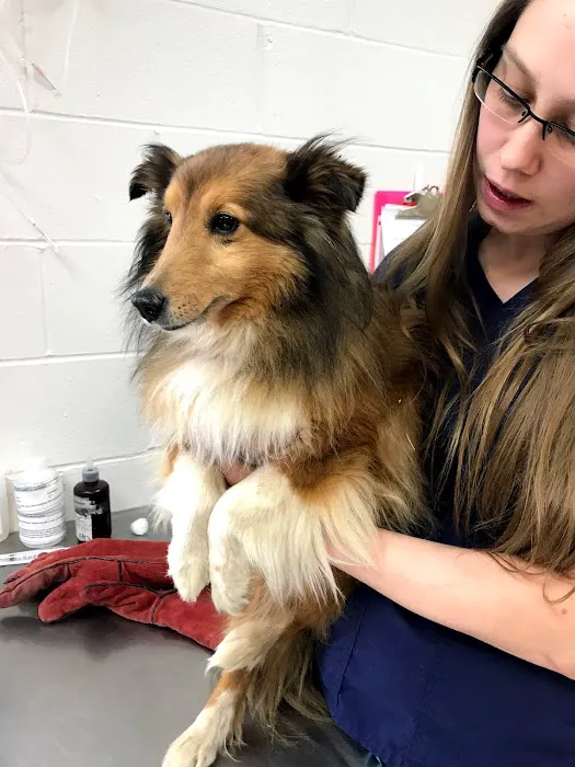 Riverside Animal Clinic & Holistic Center 2
