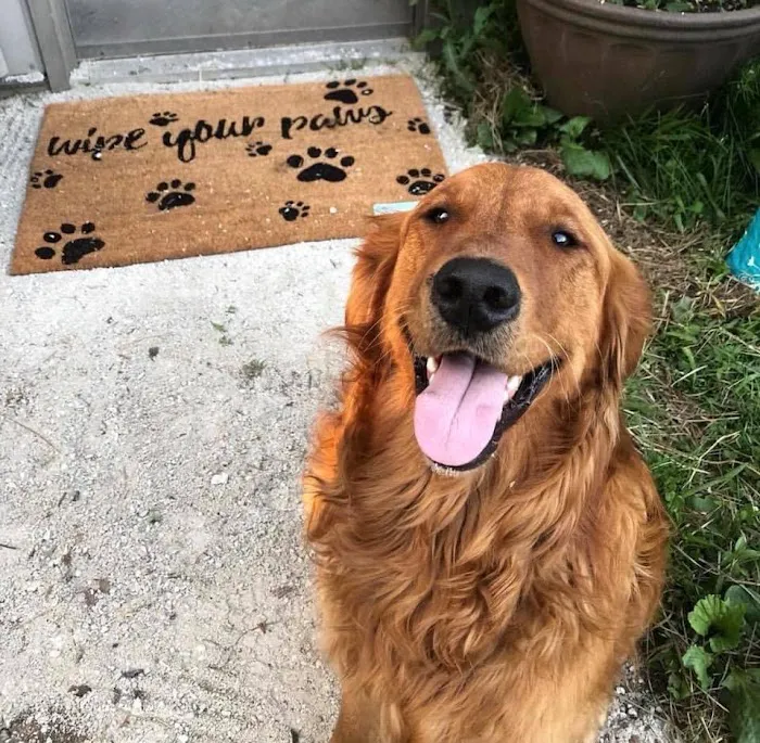 Riverside Animal Clinic & Holistic Center 3