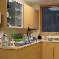 Forest Home Animal Clinic: Erica Peck, DVM ico