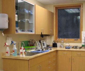 Forest Home Animal Clinic: Erica Peck, DVM
