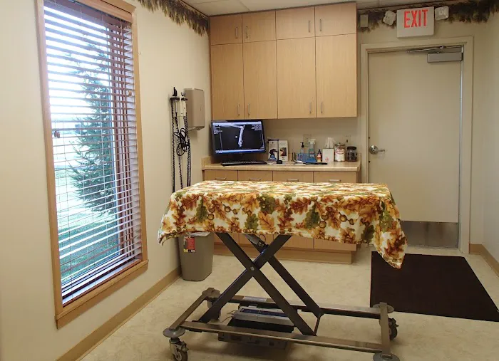 Forest Home Animal Clinic: Erica Peck, DVM 12