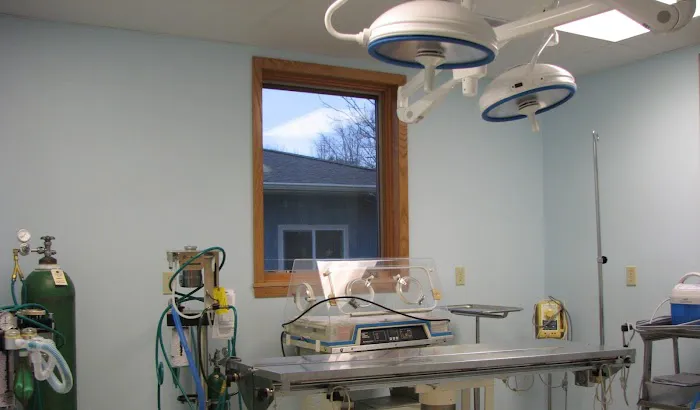 Forest Home Animal Clinic: Erica Peck, DVM 12