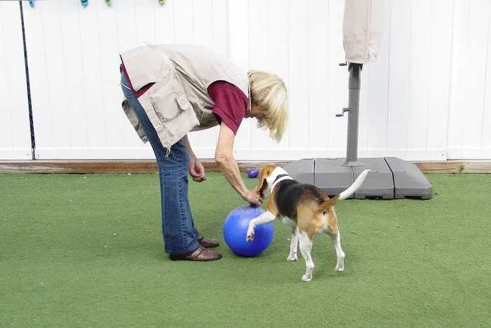 Forest Home Animal Clinic Doggie Day Camp & Boarding 12
