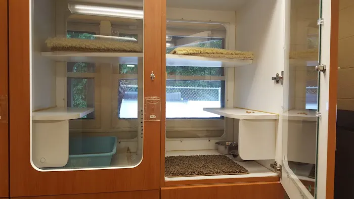 Forest Home Animal Clinic Doggie Day Camp & Boarding 12