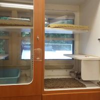 Forest Home Animal Clinic Doggie Day Camp & Boarding ico