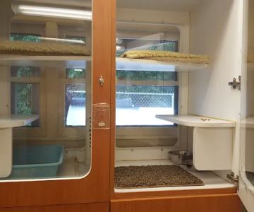 Forest Home Animal Clinic Doggie Day Camp & Boarding