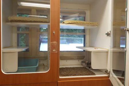 Forest Home Animal Clinic Doggie Day Camp & Boarding