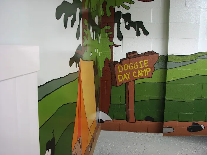 Forest Home Animal Clinic Doggie Day Camp & Boarding 12