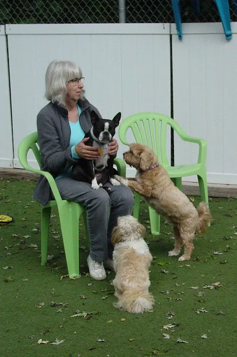 Forest Home Animal Clinic Doggie Day Camp & Boarding 12