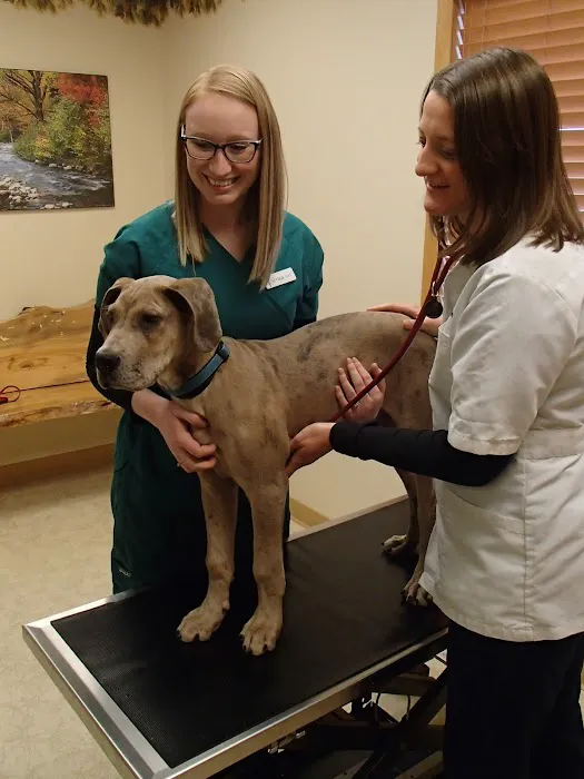 Forest Home Animal Clinic: Laura Bonofiglio, DVM 12