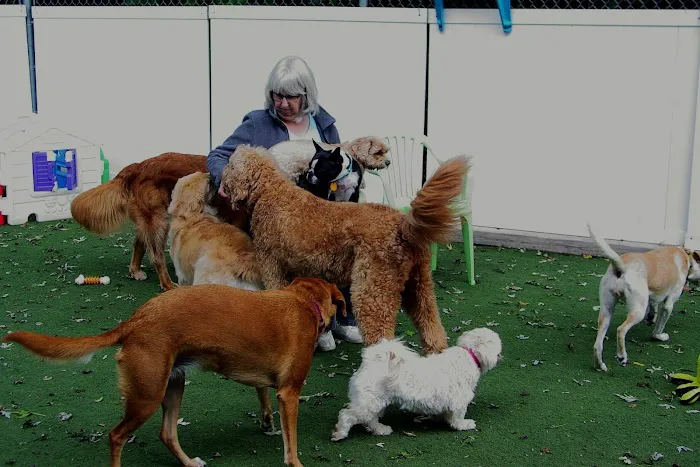 Forest Home Animal Clinic 2