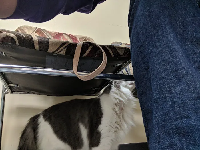 Creature Comforts House Call Veterinary Service 12