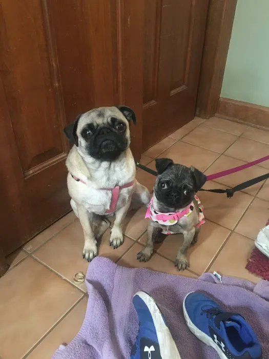 Bayview Veterinary Clinic: Wintermantel Gina DVM 12