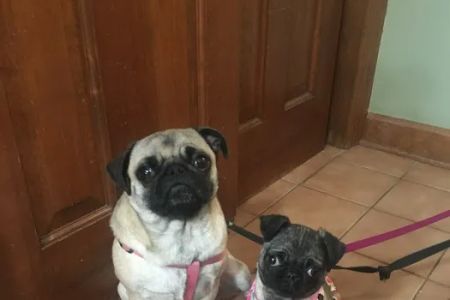 Bayview Veterinary Clinic: Wintermantel Gina DVM