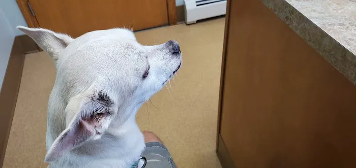 Bayview Veterinary Clinic: Wintermantel Gina DVM 12