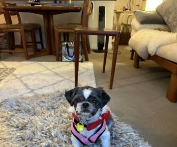 Bay View Veterinary Clinic