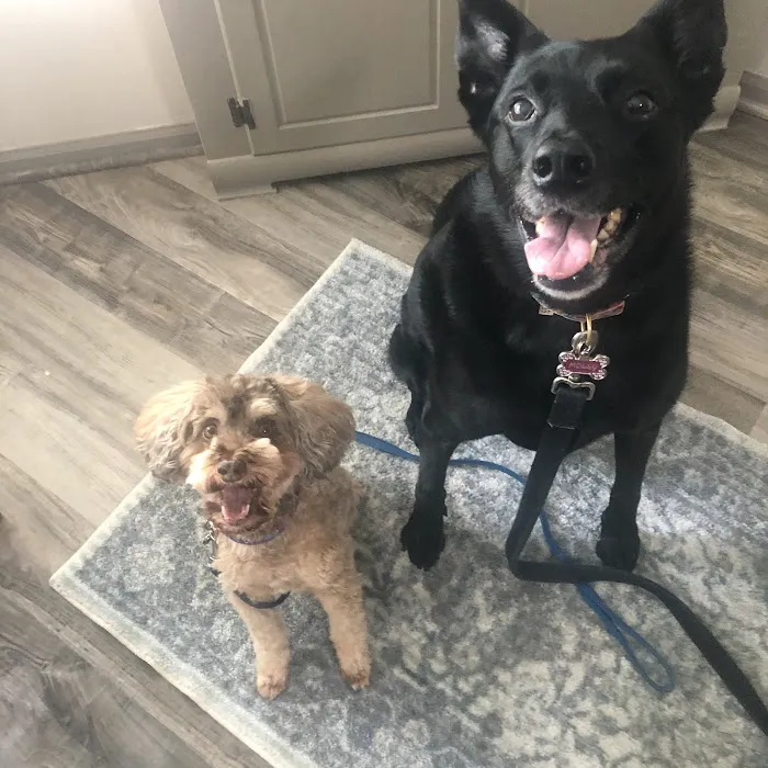 Kuenzi Family Pet Hospital 9