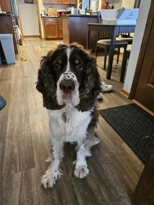 Family Pet Boarding 1