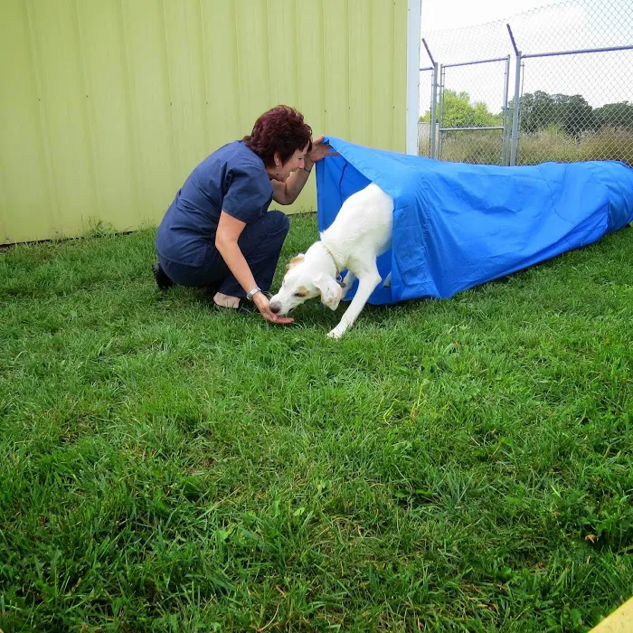 Family Pet Boarding 4