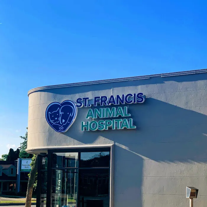 St Francis Animal Hospital: Flynn Michelle DVM 12