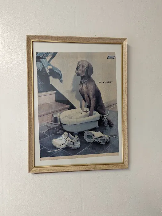 Veterinary Medical Services Corporation 12