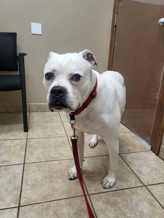 Lake Geneva Animal Hospital 10