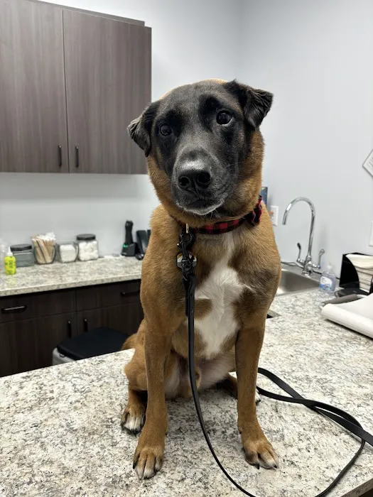 Lake Geneva Animal Hospital 8