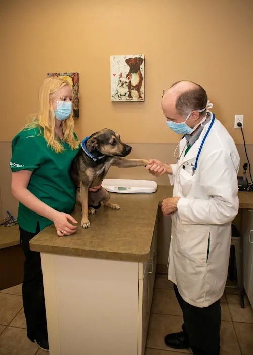 Lake Geneva Animal Hospital 2
