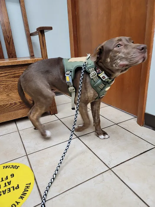 New Carlisle Animal Clinic 12