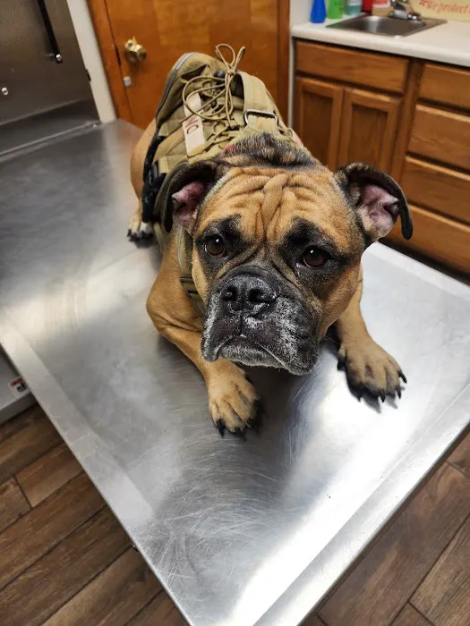 Knox Veterinary Clinic 7