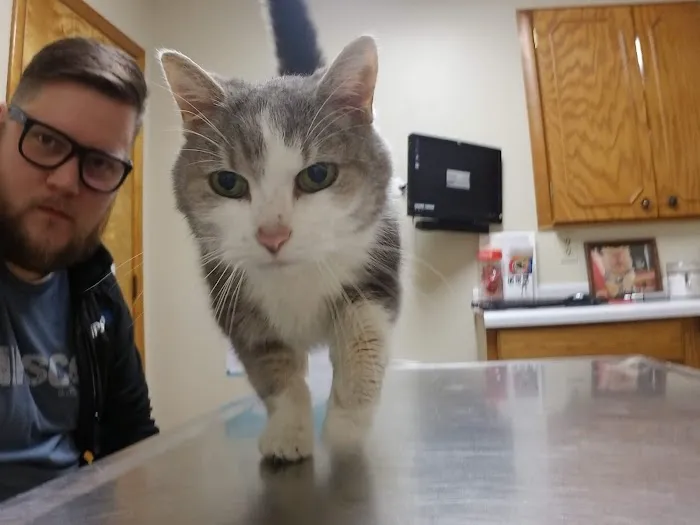 Knox Veterinary Clinic 6