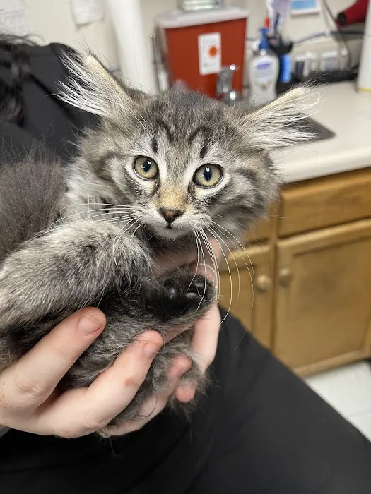Fulton County Veterinary Clinic 12