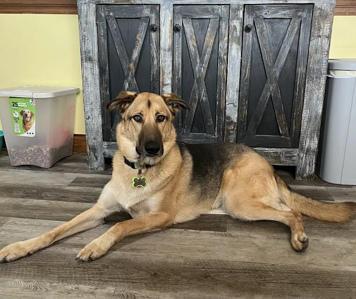 Fulton County Veterinary Clinic 12