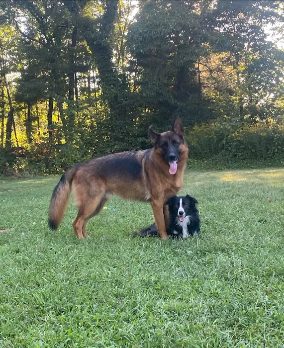 Fulton County Veterinary Clinic 12