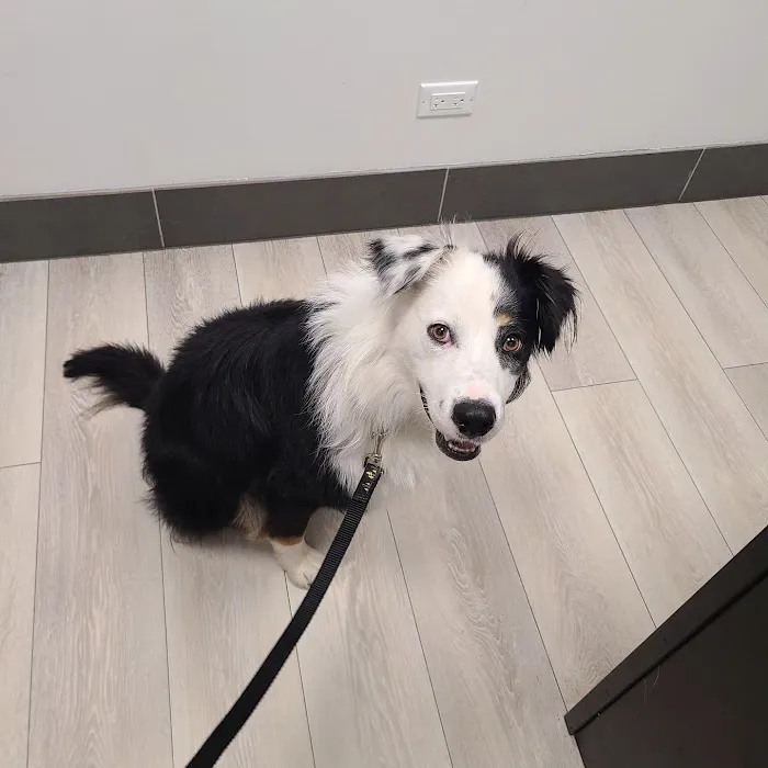 Animal Medical Center of Crystal Lake 7