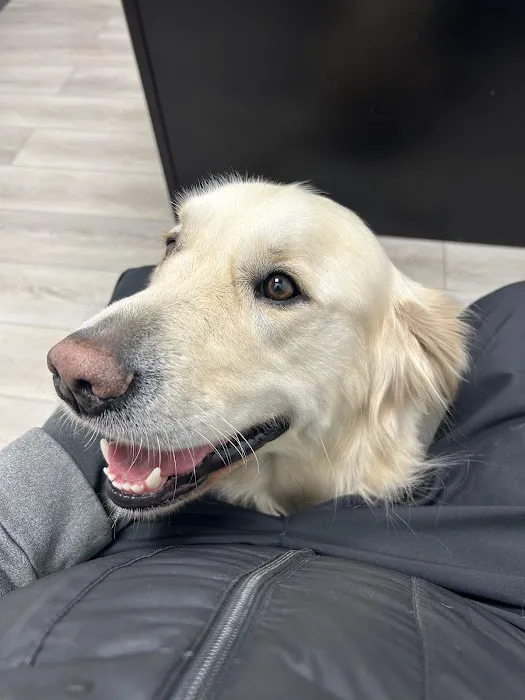 Animal Medical Center of Crystal Lake 8