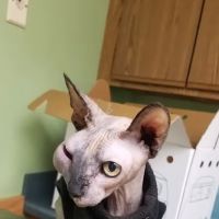 Animal Medical Center of Crystal Lake ico