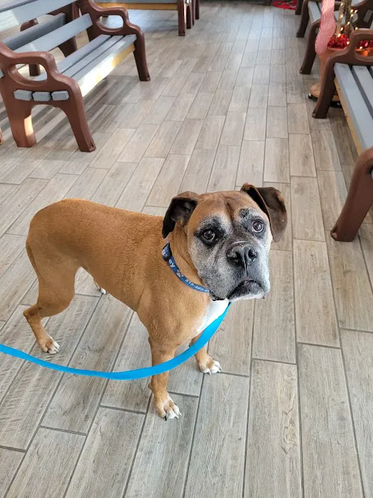 Crystal Lake Veterinary Hospital 6