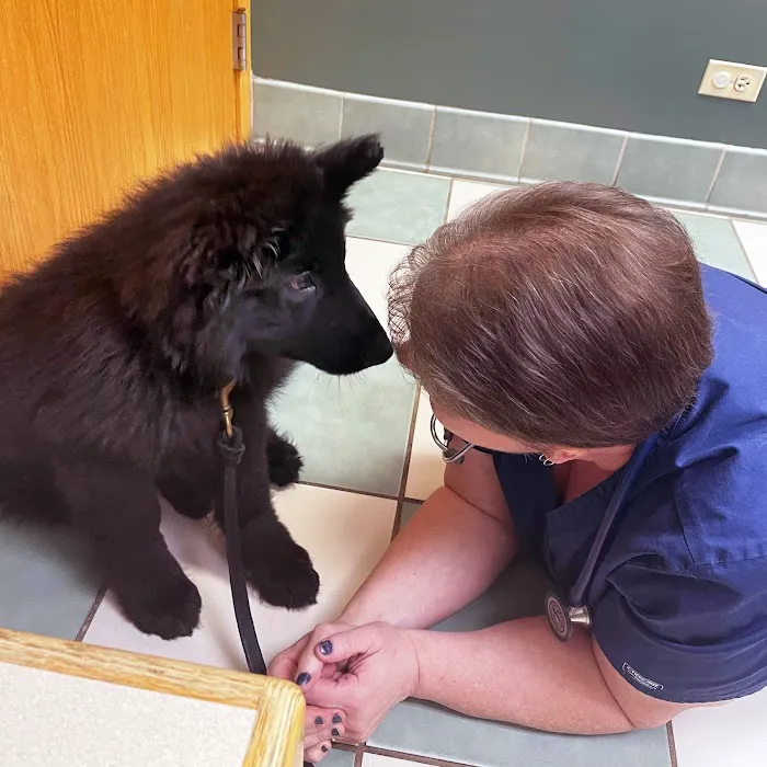 Dundee Animal Hospital of Algonquin 6
