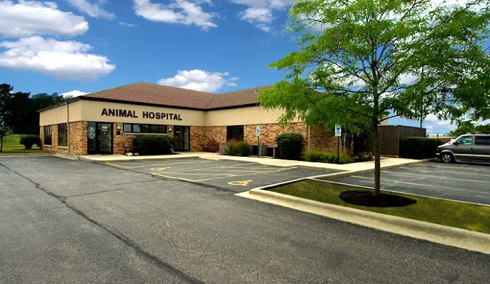 Dundee Animal Hospital of Algonquin 3