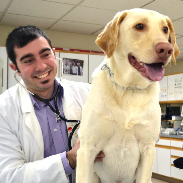Dundee Animal Hospital of Algonquin 9