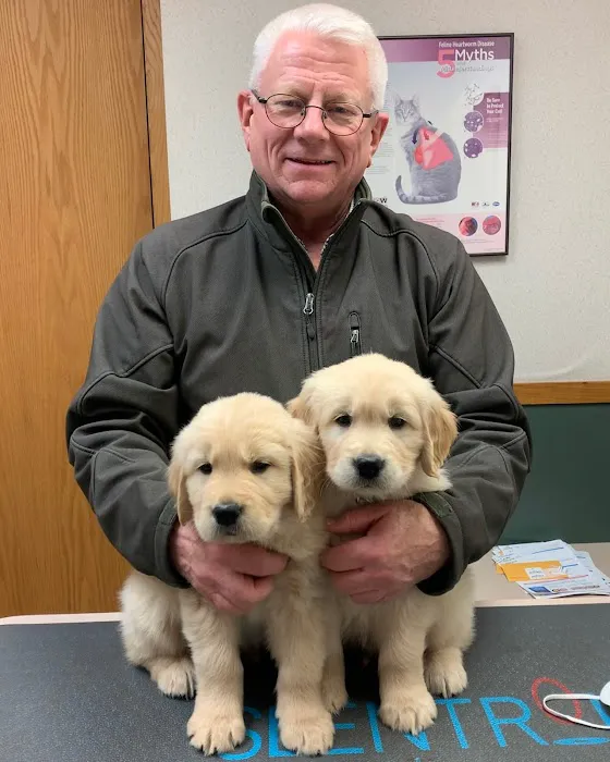Dundee Animal Hospital of Algonquin 10