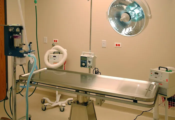 Healthy Paws Animal Hospital 2